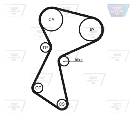 Timing Belt