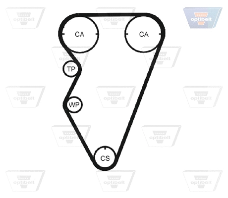 Timing Belt