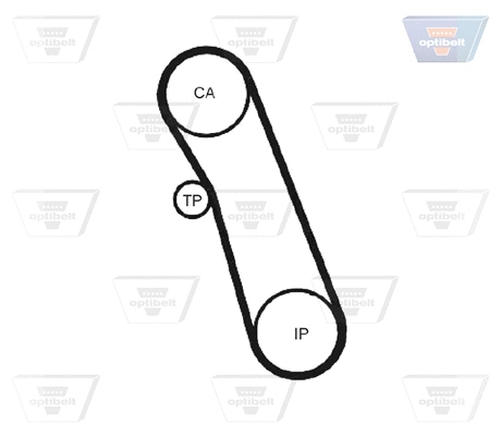 Timing Belt