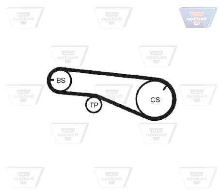 Timing Belt