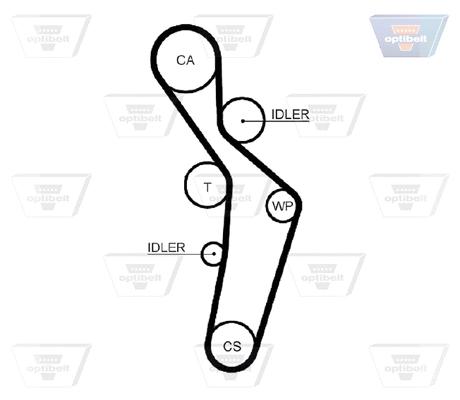 Timing Belt