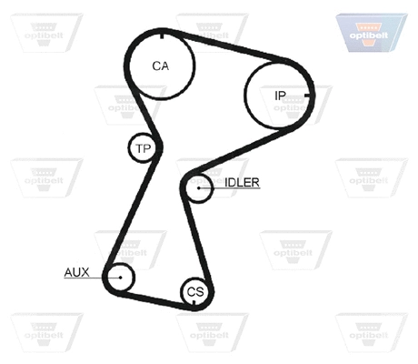 Timing Belt