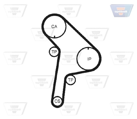 Timing Belt