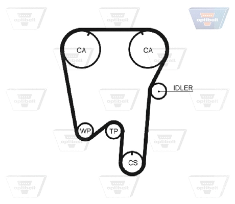 Timing Belt