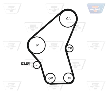 Timing Belt