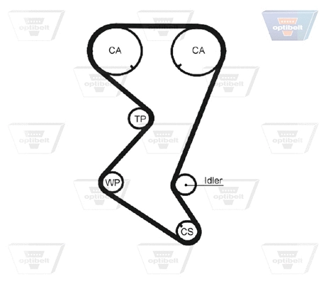 Timing Belt