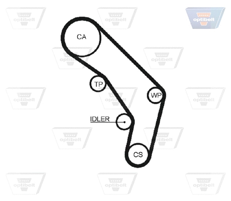 Timing Belt