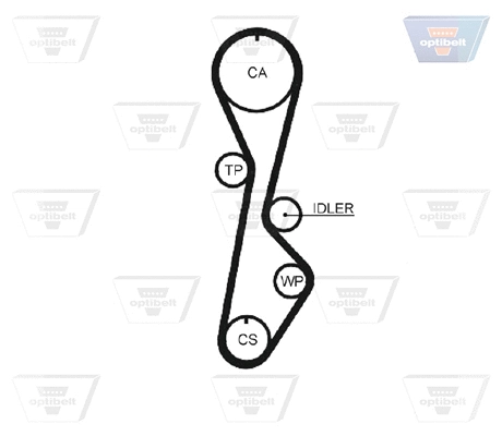 Timing Belt