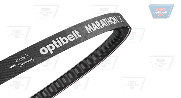 V-Belt (AVX 13 X 1350)