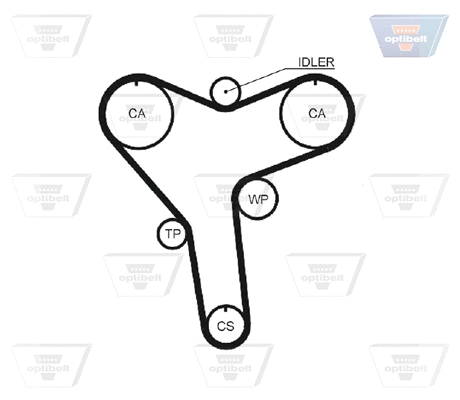 Timing Belt