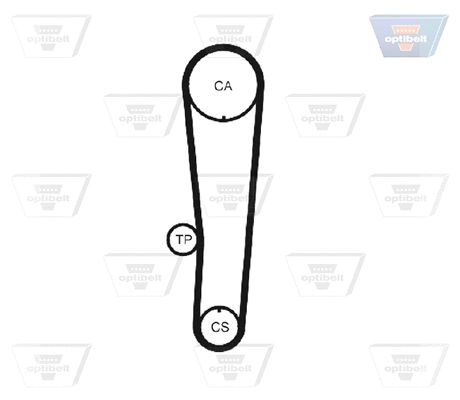 Timing Belt