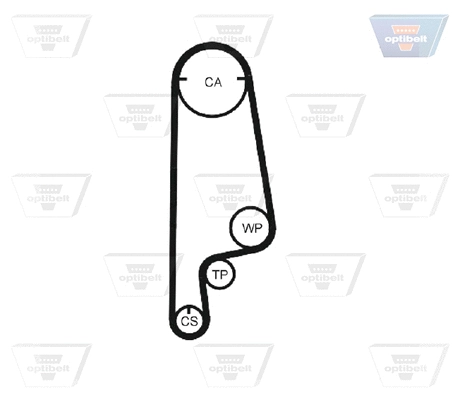 Timing Belt