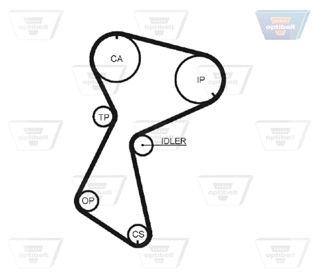 Timing Belt