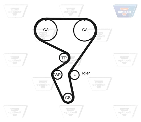 Timing Belt