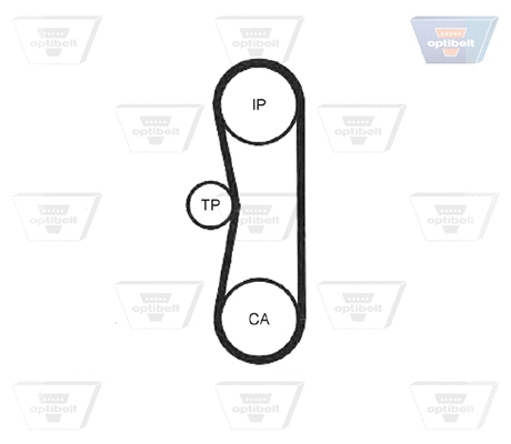 Timing Belt