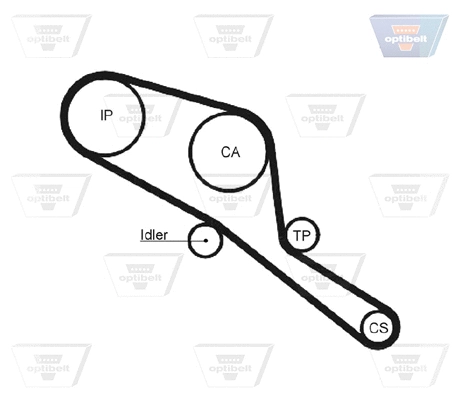 Timing Belt