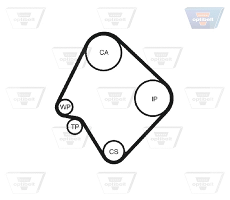 Timing Belt