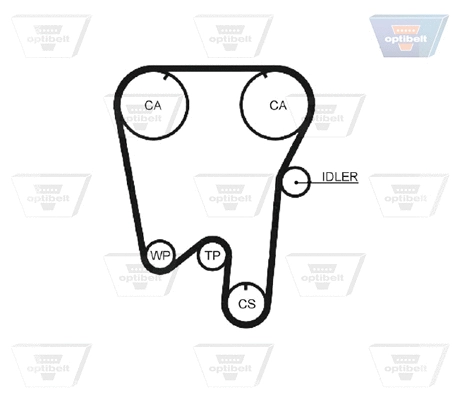 Timing Belt