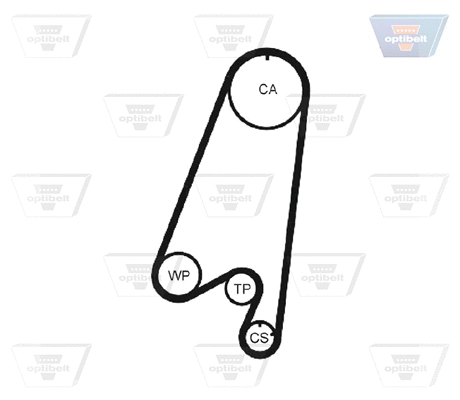 Timing Belt