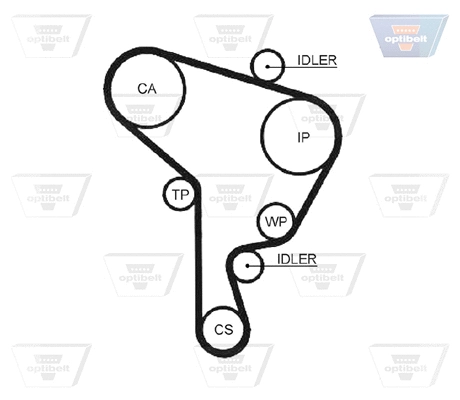 Timing Belt