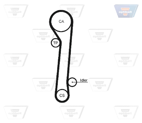 Timing Belt