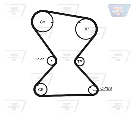 Timing Belt