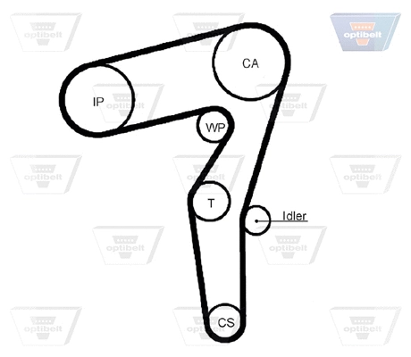 Timing Belt