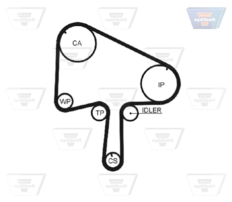Timing Belt