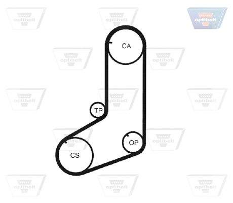Timing Belt