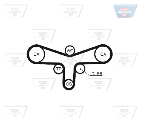 Timing Belt