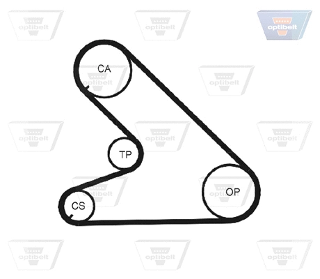 Timing Belt