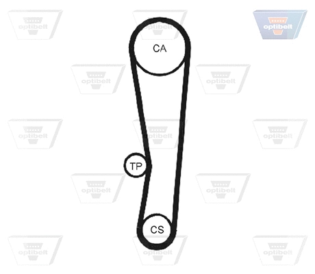 Timing Belt