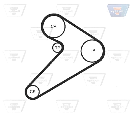 Timing Belt