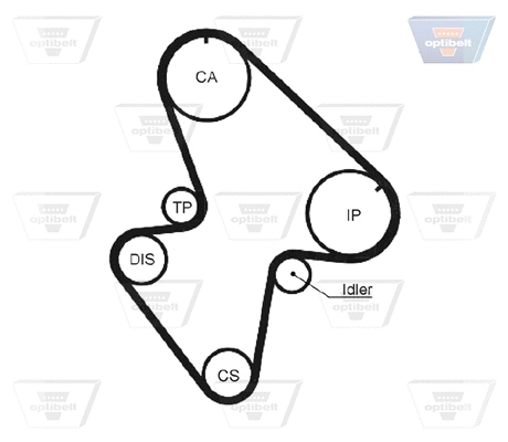 Timing Belt