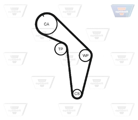 Timing Belt