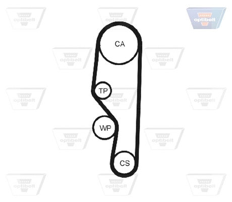 Timing Belt
