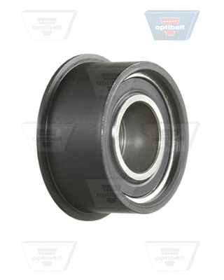Deflection/Guide Pulley, timing belt (507UT)