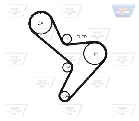Timing Belt