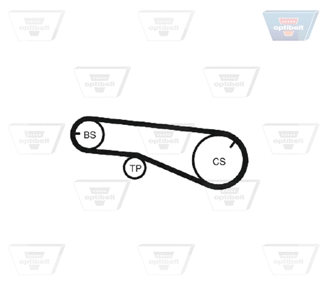 Timing Belt
