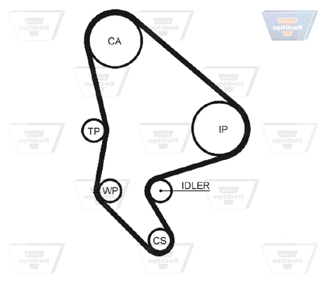 Timing Belt