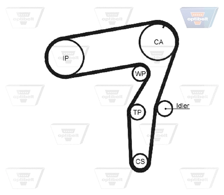 Timing Belt