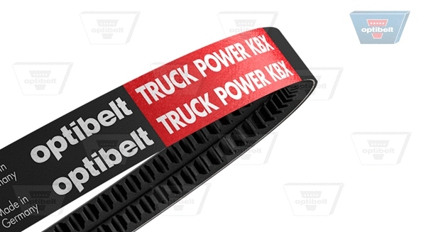 Banded V-Belts (2-AVX 13 X 1425 TM)