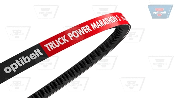 V-Belt (AVX 13 X 1350 TM)