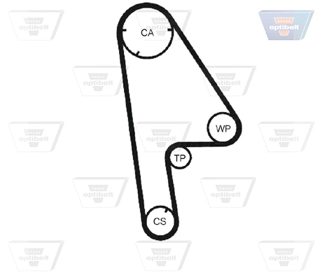 Timing Belt