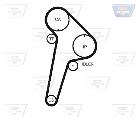 Timing Belt