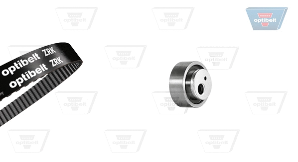 Timing Belt Kit (KT 1013)