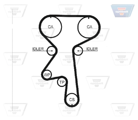 Timing Belt