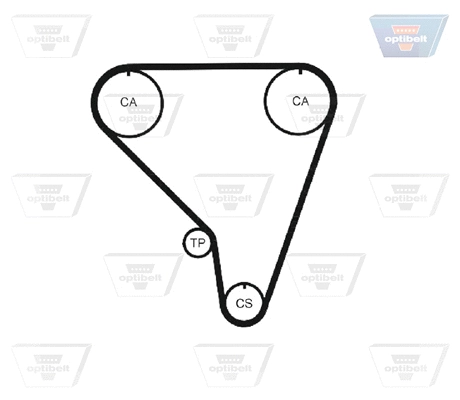 Timing Belt