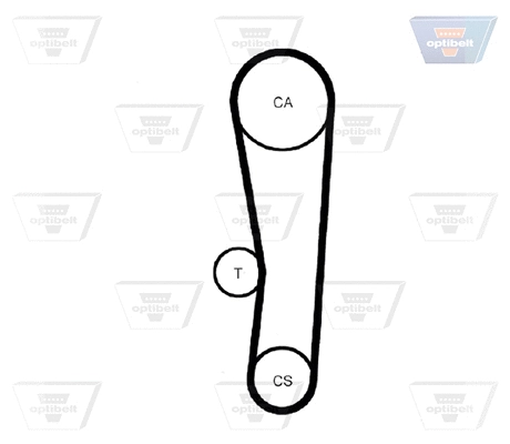 Timing Belt