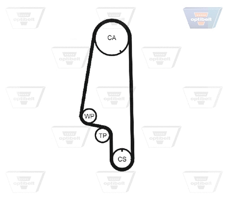 Timing Belt